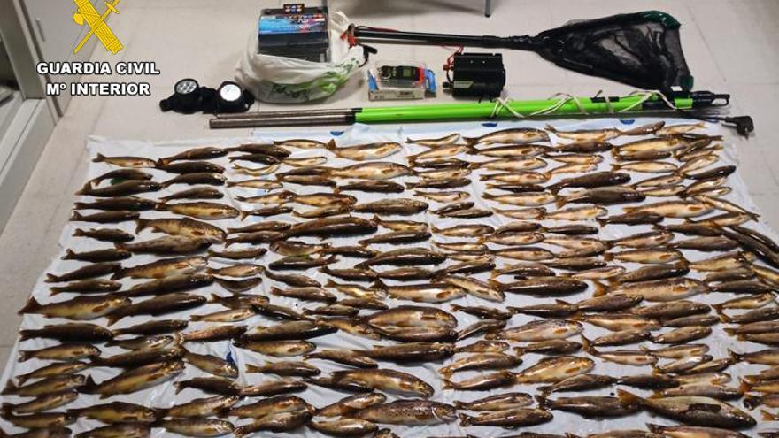 Llevaban más de 200 truchas en el maletero y se sentarán ante el juez por electrocutar peces en Asturias con un método ilegal