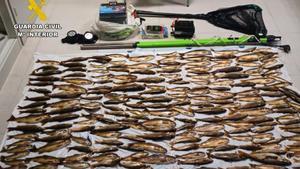 Pesca ilegal en Cangas del Narcea: pillados con más de 200 truchas en el maletero.