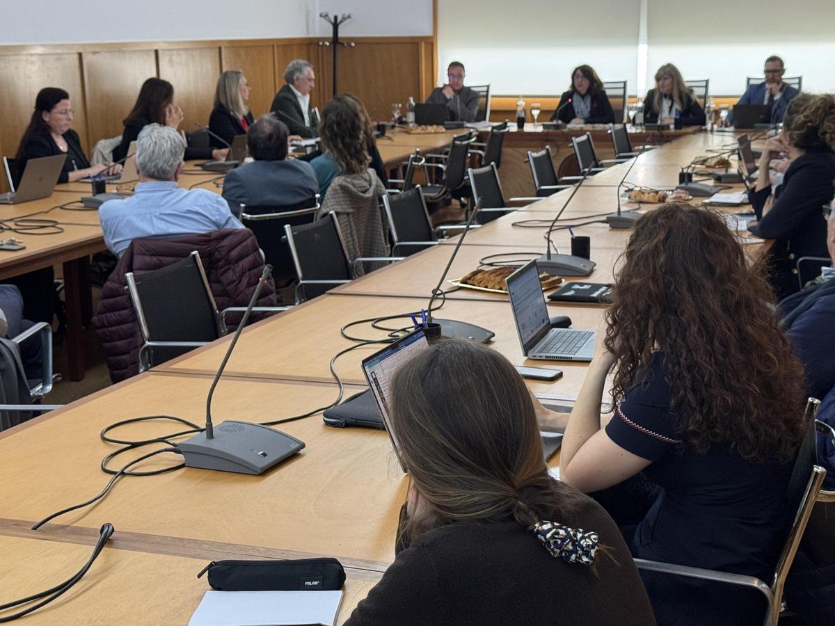 El Consejo de Gobierno de la UA, este jueves