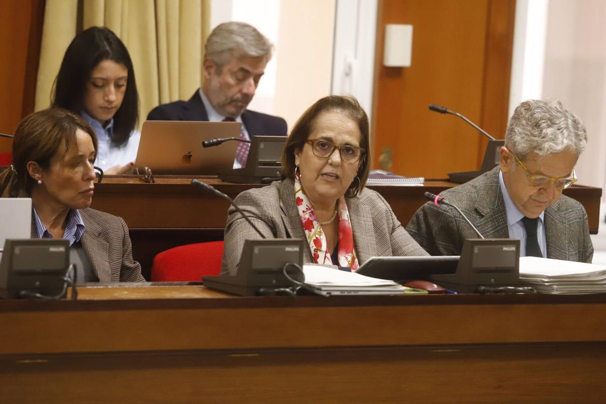 A.J.González Córdoba Pleno presupuestos Ayuntamiento Blanca Torrent