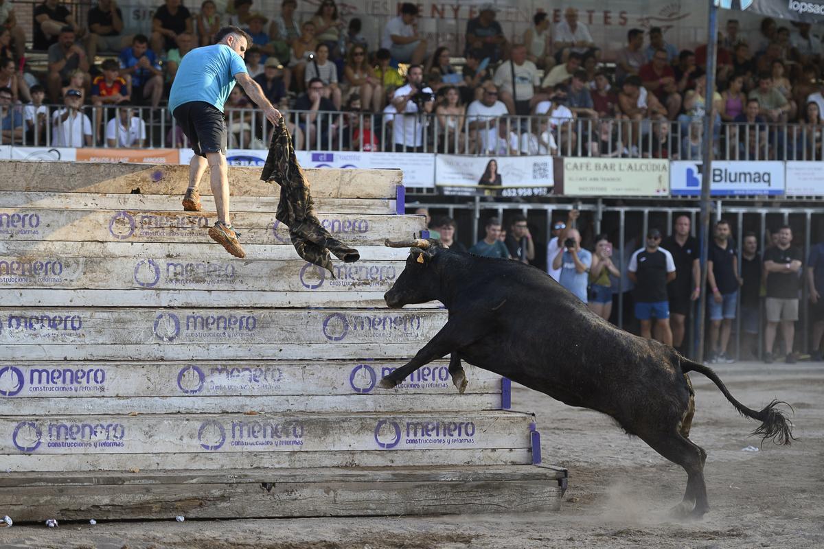 Algunos de los mejores momentos que ha ofrecido el ganado de Fernando Machancoses en les Penyes de la Vall
