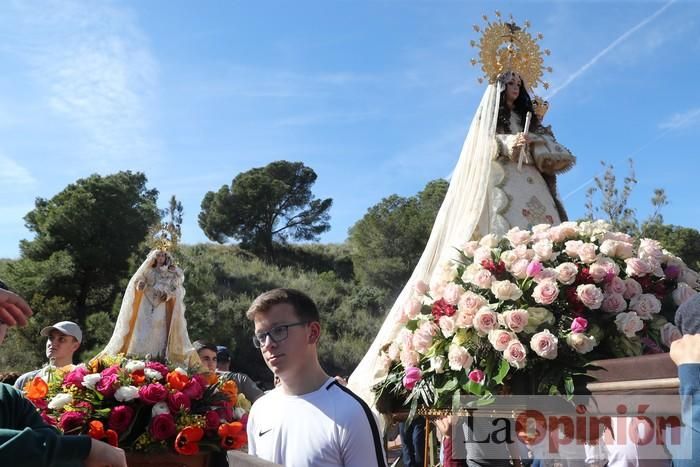 Romería de La Hoya (II)