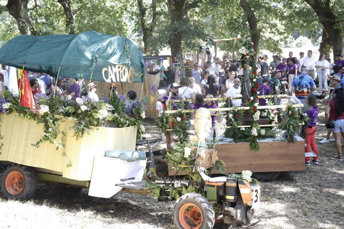 Padrón se rinde al pimiento de Herbón: 3.000 raciones para una fiesta multitudinaria Padrón se rinde al pimiento de Herbón: 3.000 raciones para una fiesta multitudinaria