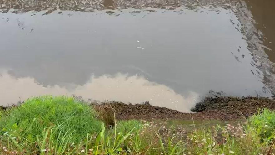 Vertido de fecales, ayer, en la desembocadura del Orxas. | FdV