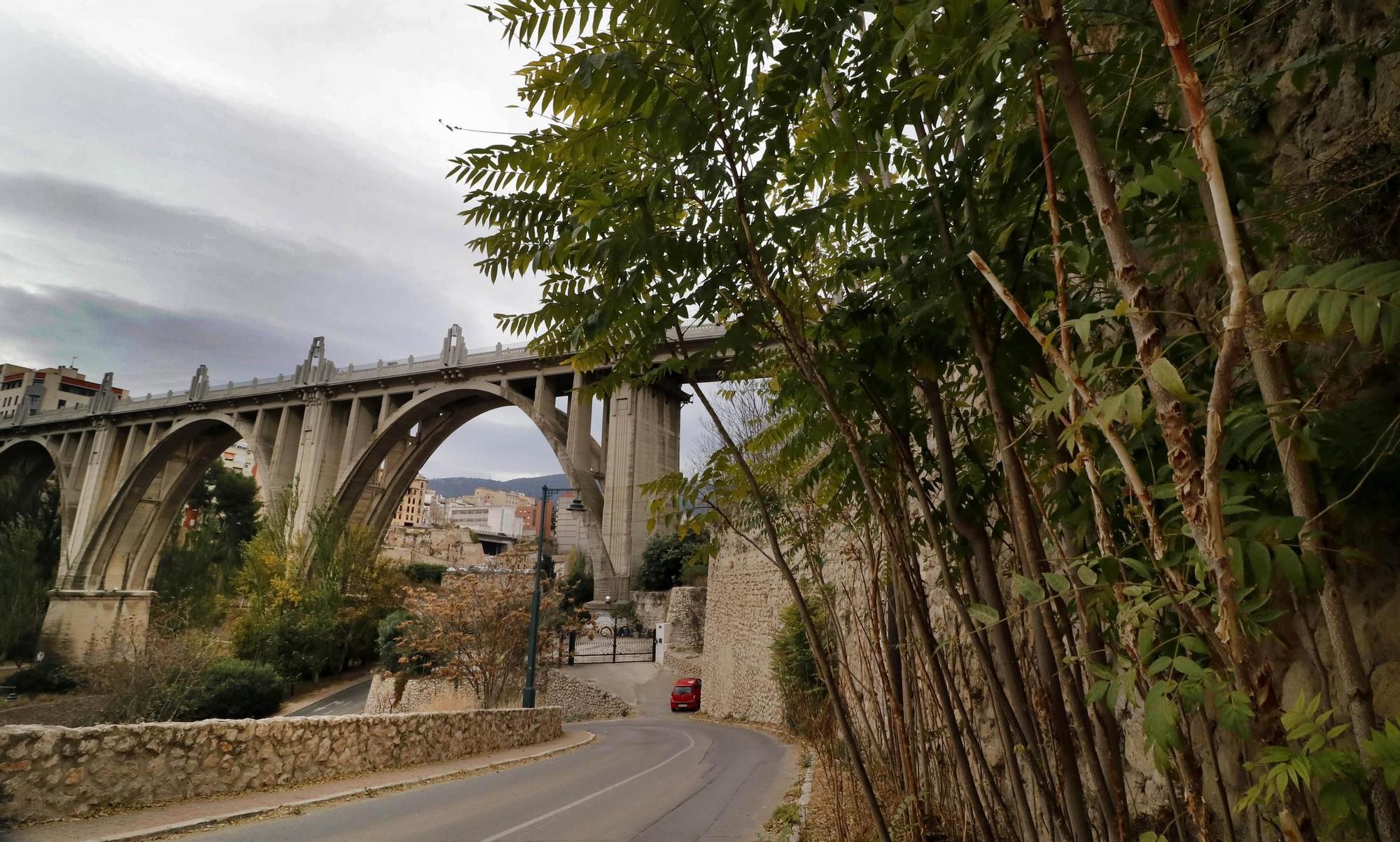 Alcoy combatirá la la planta invasora del alianto