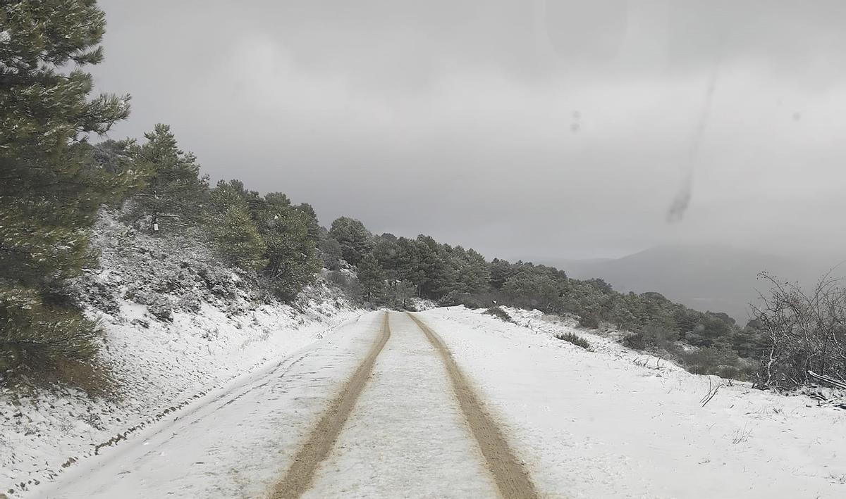 Nieve en la Sierra de Revolcadores