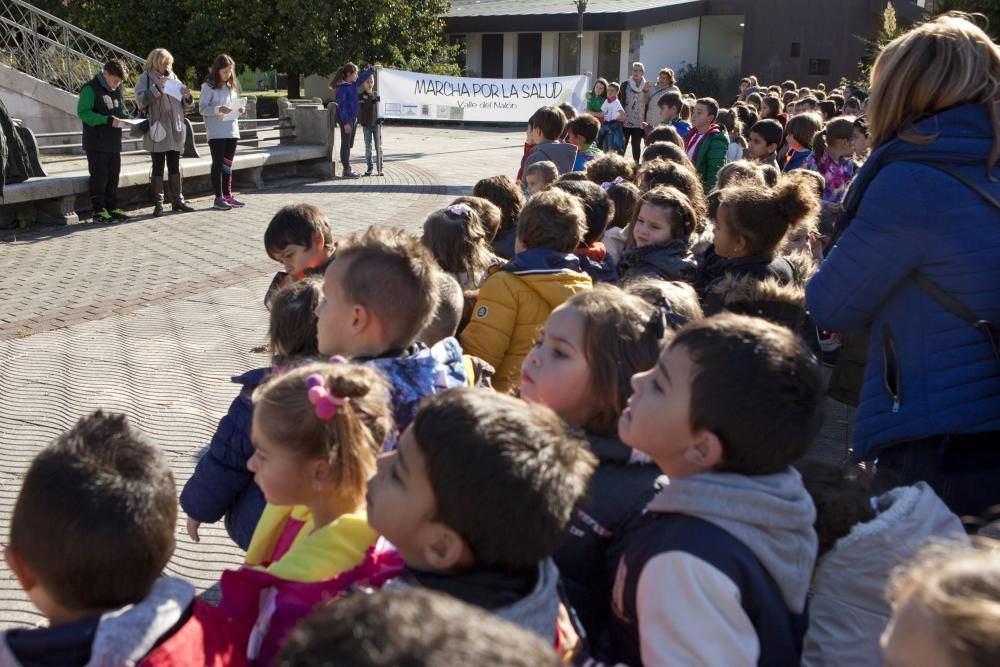 Marcha por la salud en El Entrego