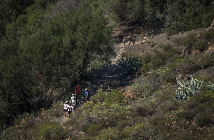 LAS PALMAS DE GRAN CANARIA A26/05/2017. Sendero de la ciudad de LPGC. Ruta Caldera de Bandada. FOTO: J.PÉREZ CURBELO