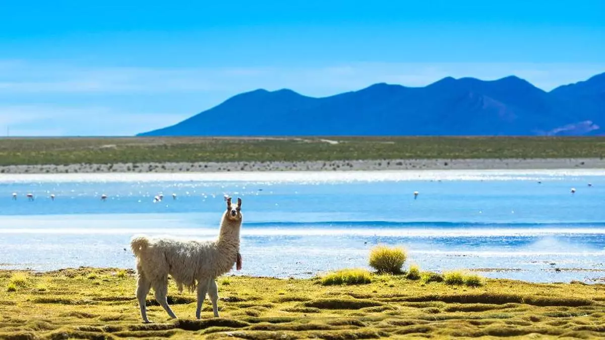 La Bolivia más desconocida y fascinante en la nueva Expedición VIAJAR