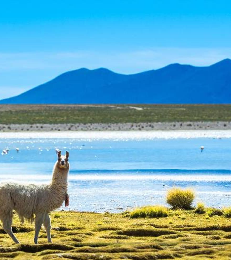 La Bolivia más desconocida y fascinante en la nueva Expedición VIAJAR