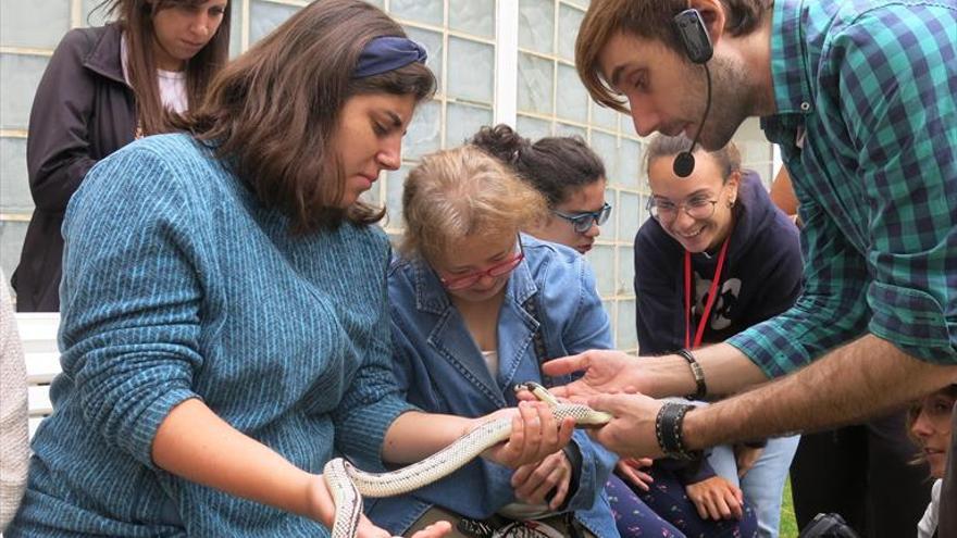 terapia con reptiles, en la rucab