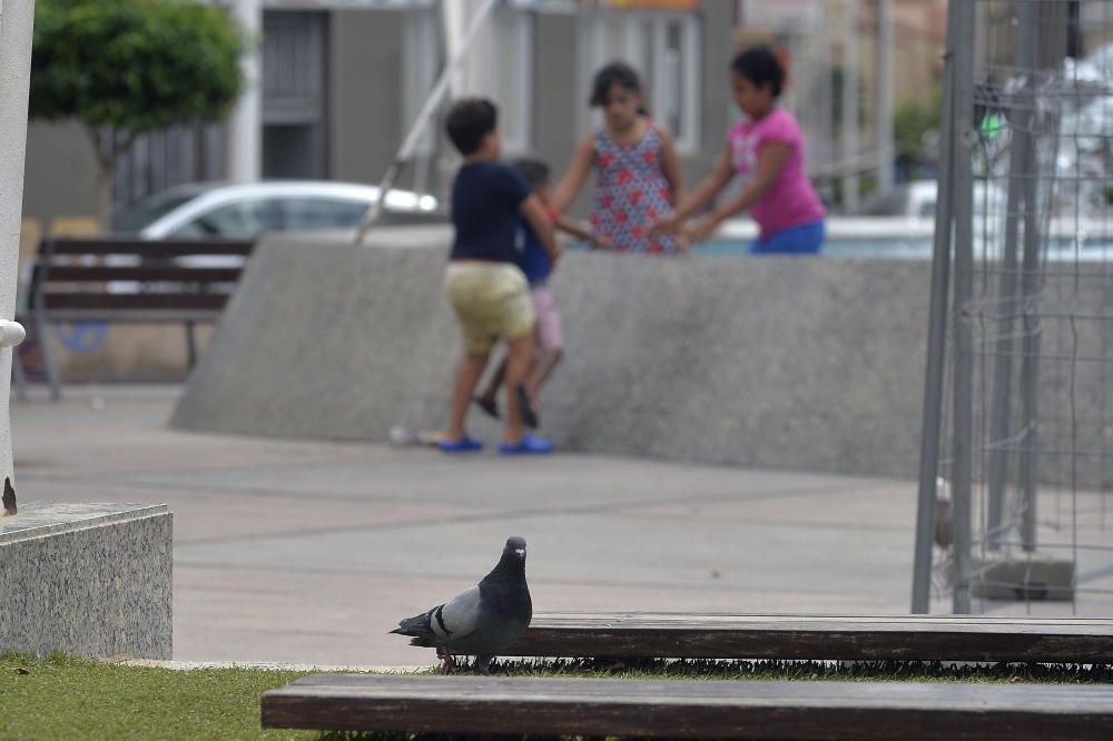 El Elche ya es líder