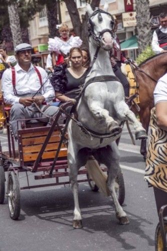 El desfile ecuestre toma el Real de Torrevieja