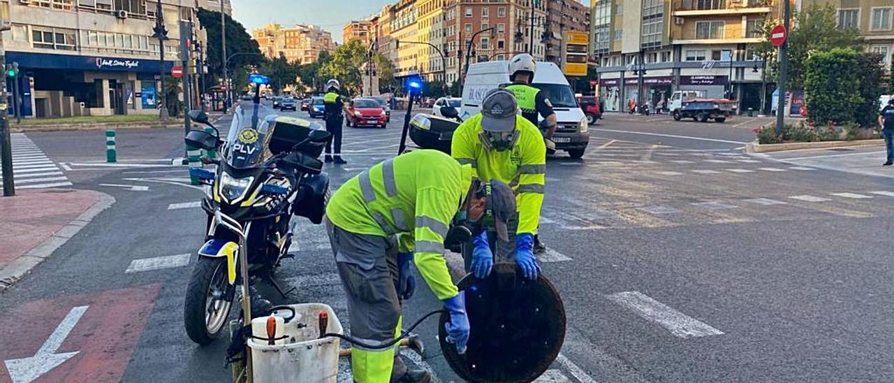 Control de cucarachas en las Grandes Vías | LEVANTE-EMV