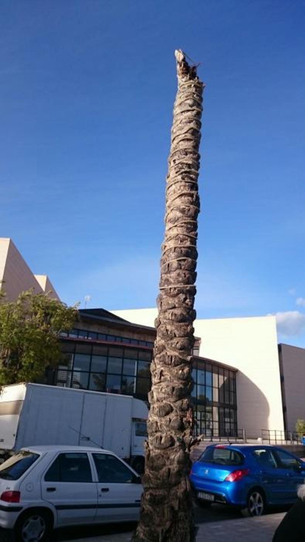 Fuertes rachas de viento causan destrozos en toda