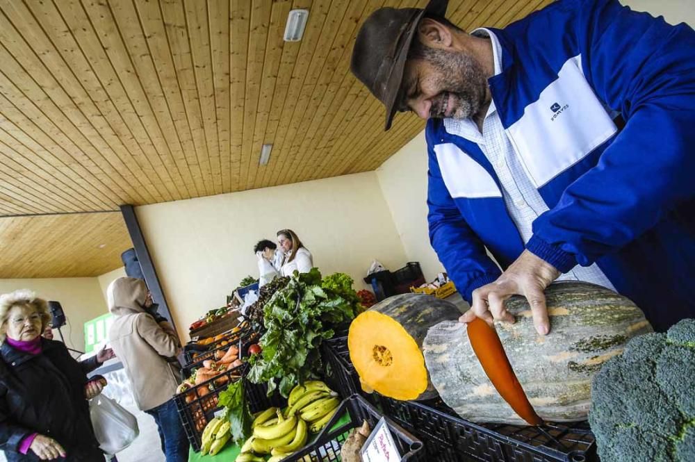 Mercado de berros a 1 euro en Ingenio