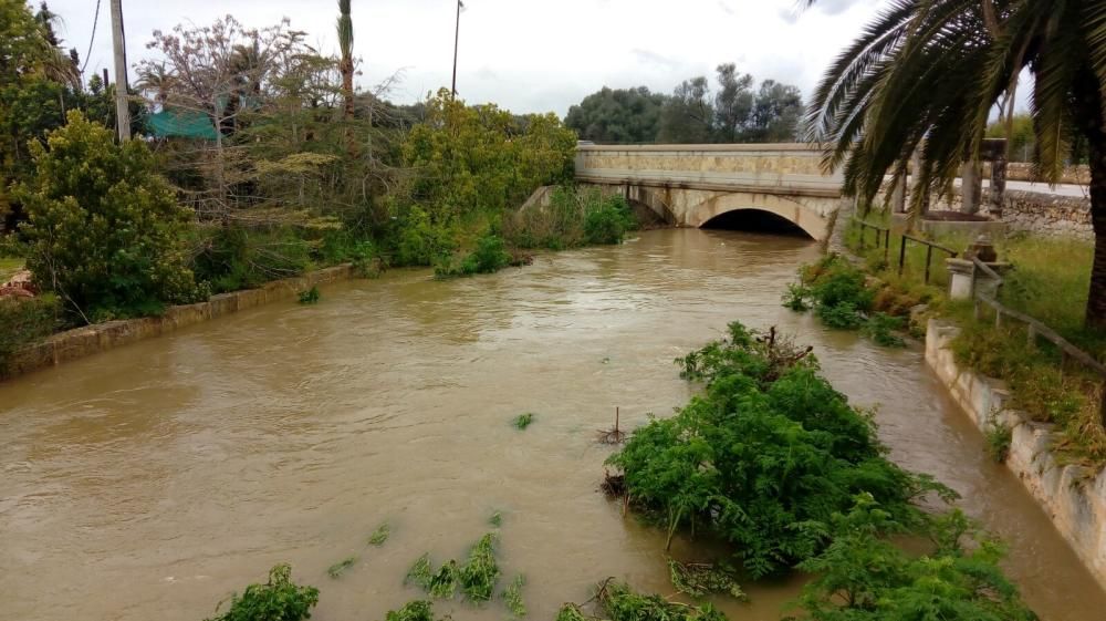 Sencelles denuncia que la falta de limpieza del torrent Solleric provoca inundaciones
