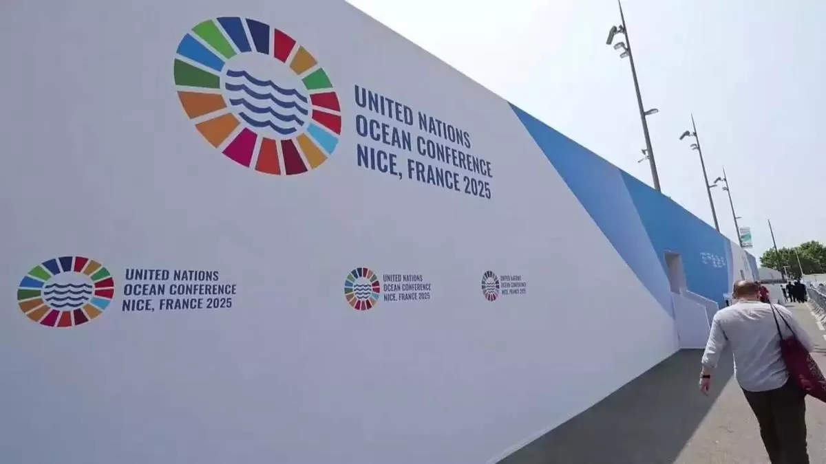 El Tratado de los Océanos entrará en vigor el próximo enero y España crea más reservas marinas