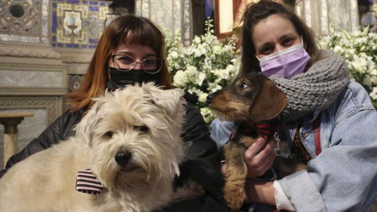 Candela García y Sara Mota con sus perros,” López” y “Cosme”, en el interior de San Juan.