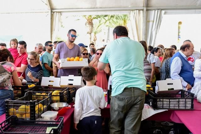 II Feria del Aguacate en Arguineguín