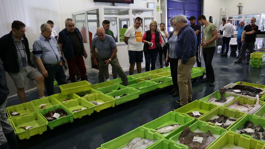 Así se comportaron las lonjas de Arousa en los dos primeros meses
