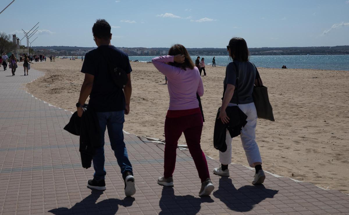 Urlaub auf Mallorca: So sieht es Ende März an der Playa de Palma aus