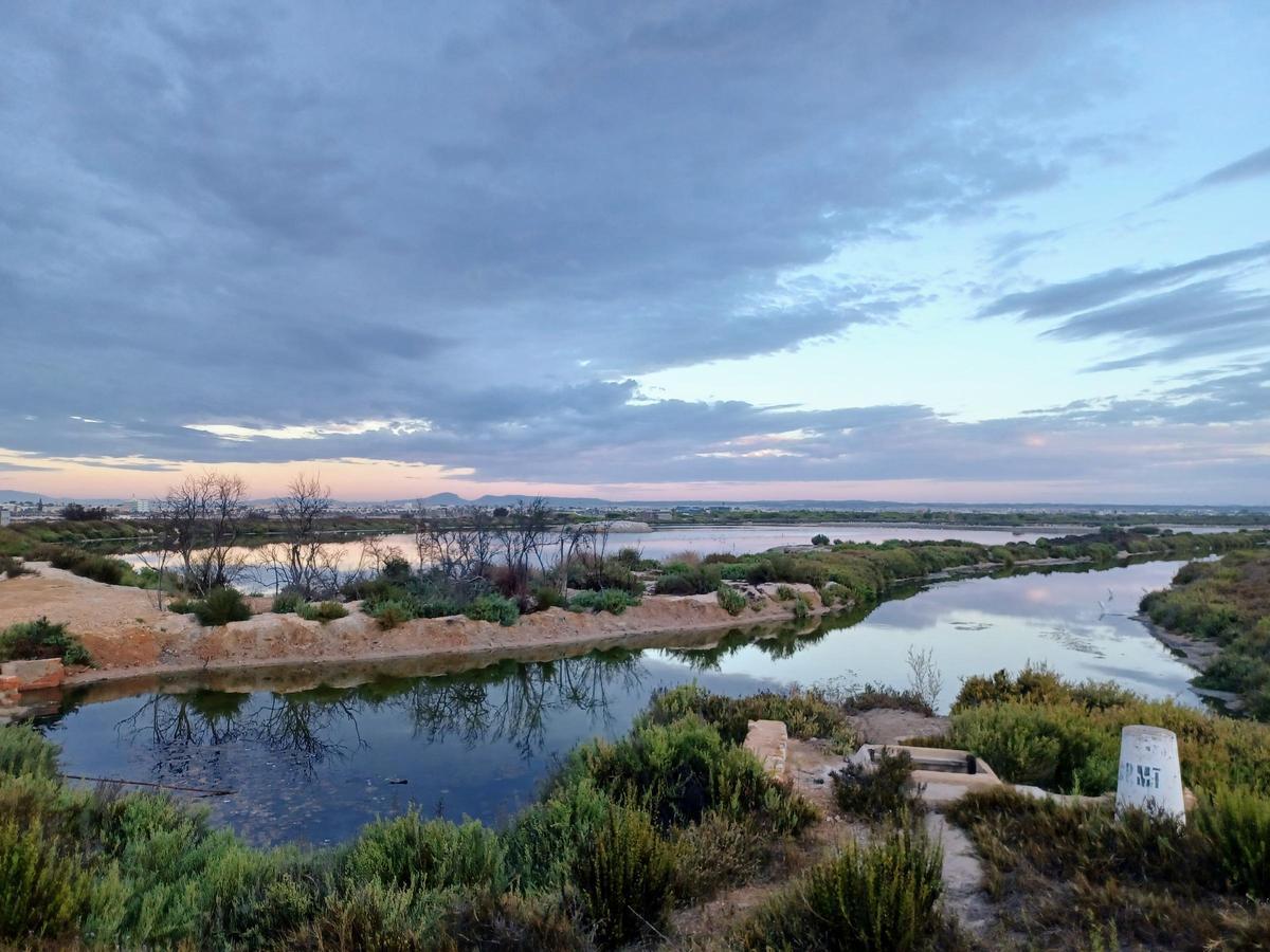 Charca Coterillo, en San Pedro del Pinatar