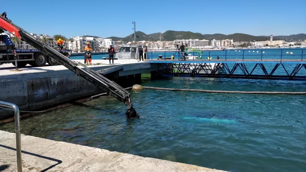 Un coche cae al mar en el puerto de Ibiza con sus dos ocupantes