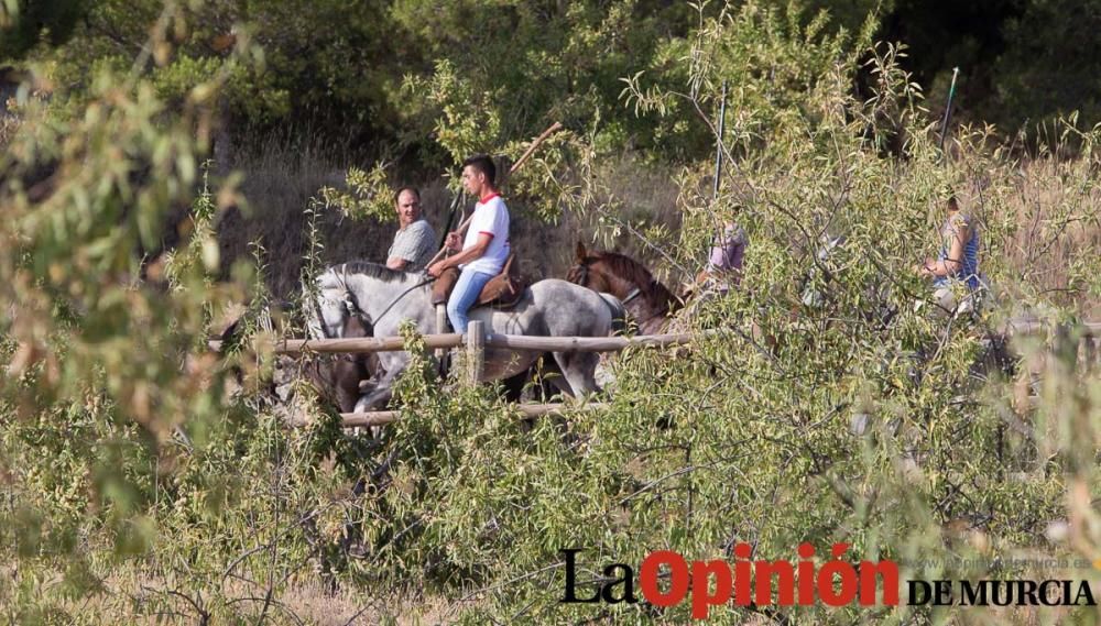 Vereda en Moratalla