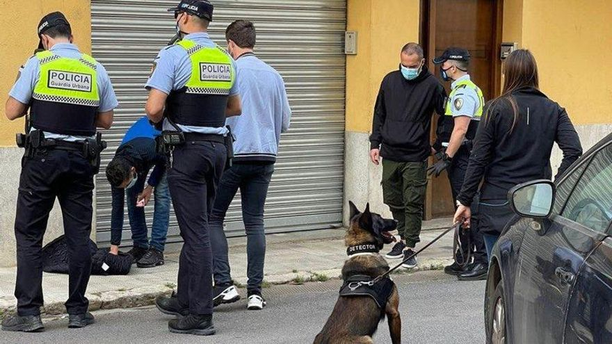 La majoria de multes tramitades s’han realitzat mitjançant els dispositius de gossos canins.