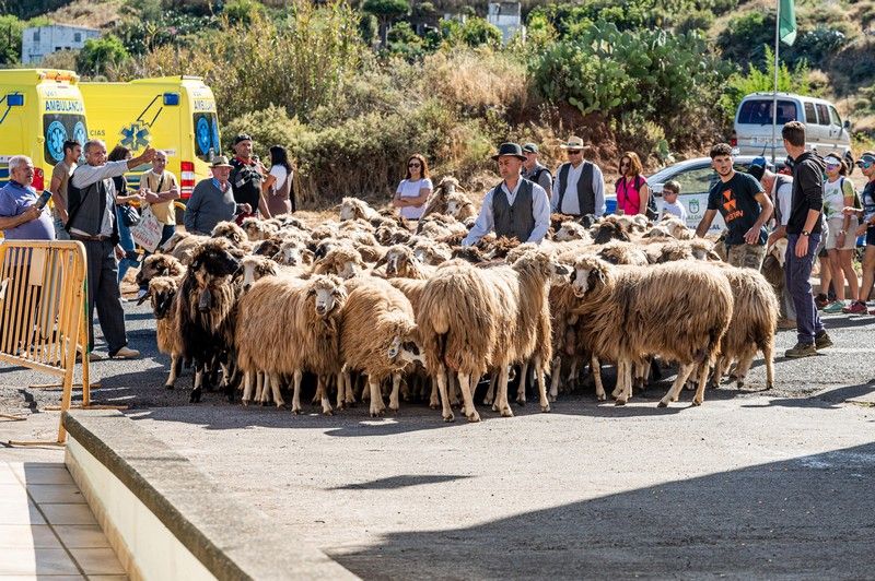 Fiesta de la Lana en Caideros 2022