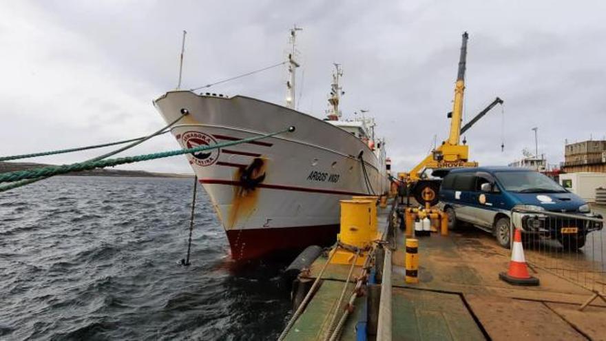 La flota pide modificar el contingente de calamar de Malvinas: solo se pudo usar un 2%