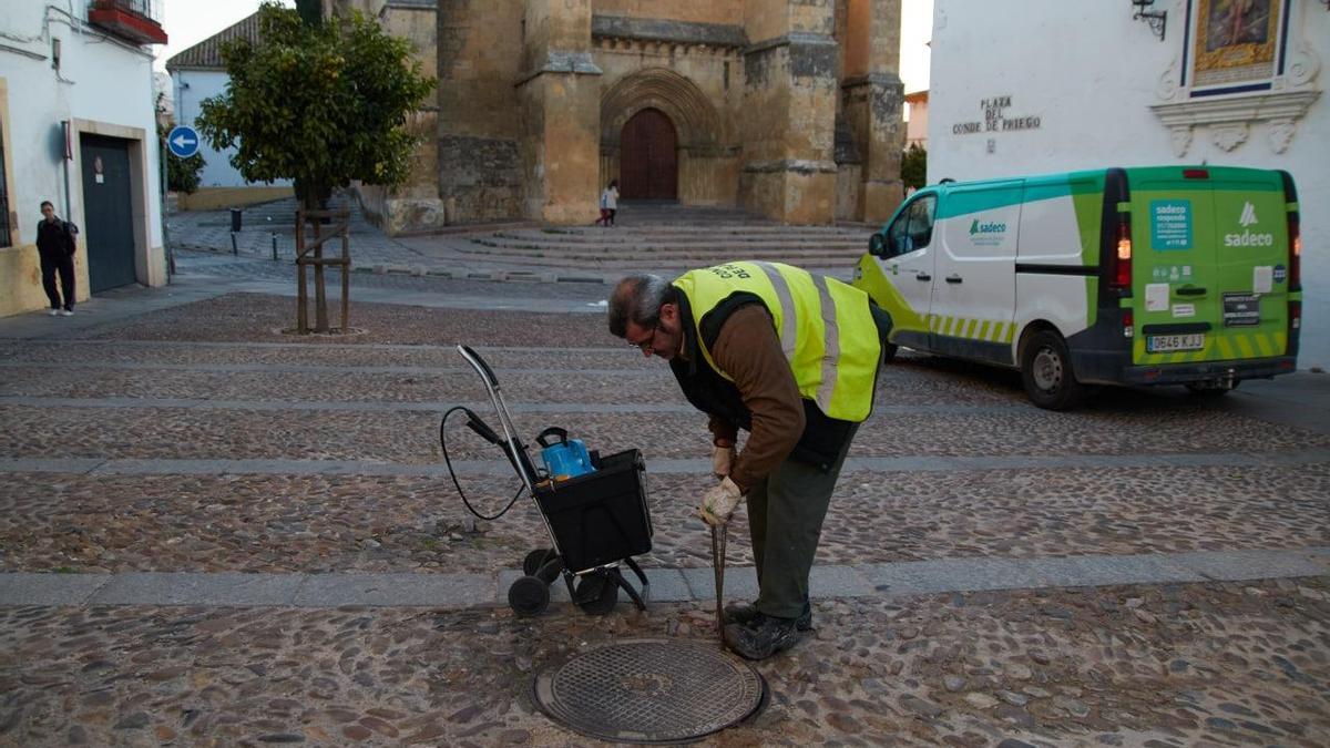 Dos operarios haciendo trabajos de control de plagas en alcantarillados