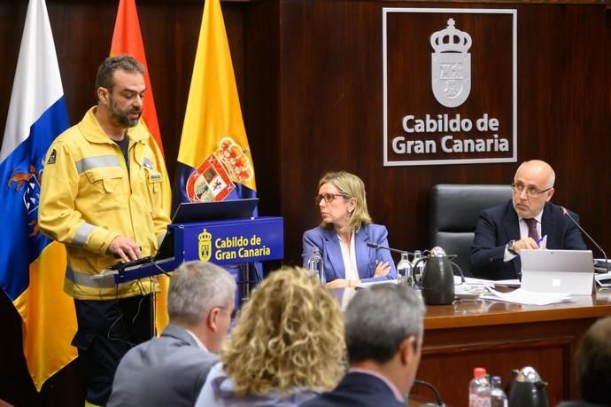 Pleno del Cabildo sobre el incendio de Gran Canaria.