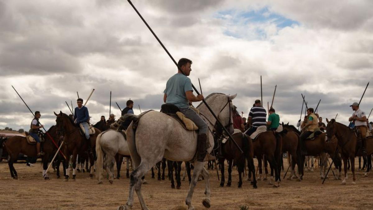 Bravura en las eras de Carbajales