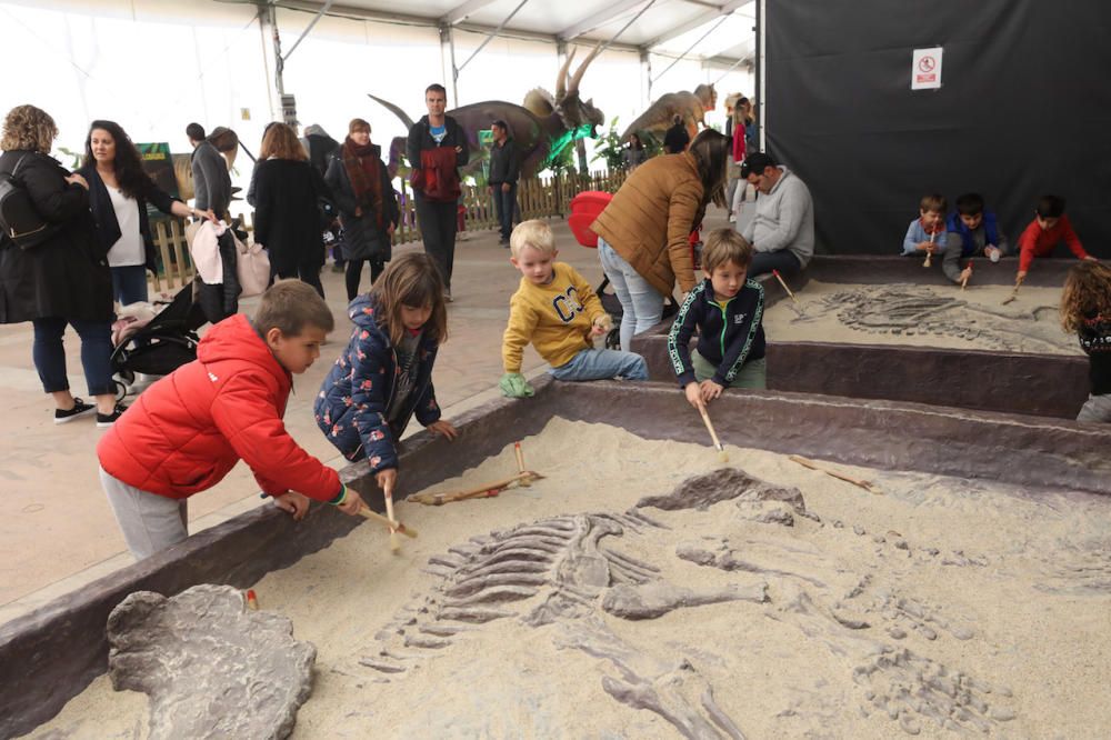 Wie Jurassic Park: Dinospektakel auf Mallorca