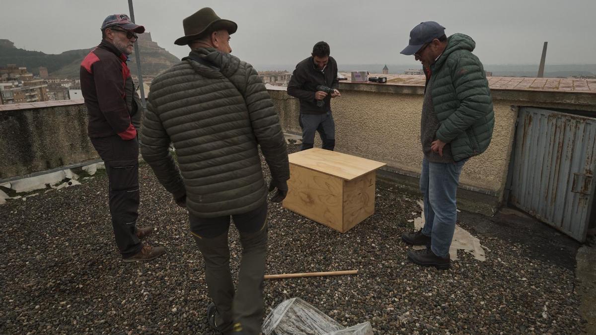 Momento de la colocación de la caja.