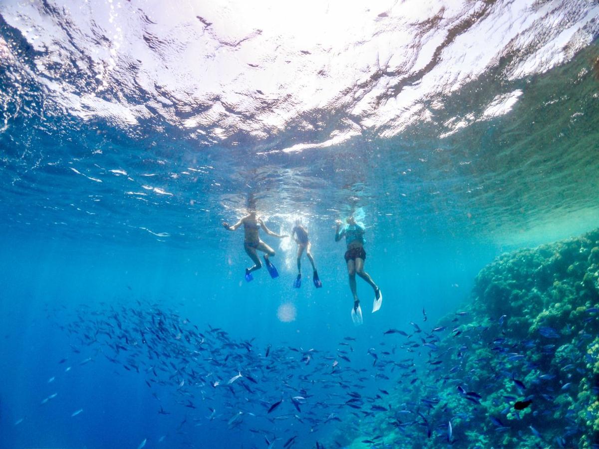 Viajeros haciendo snorkel en el Mar Rojo