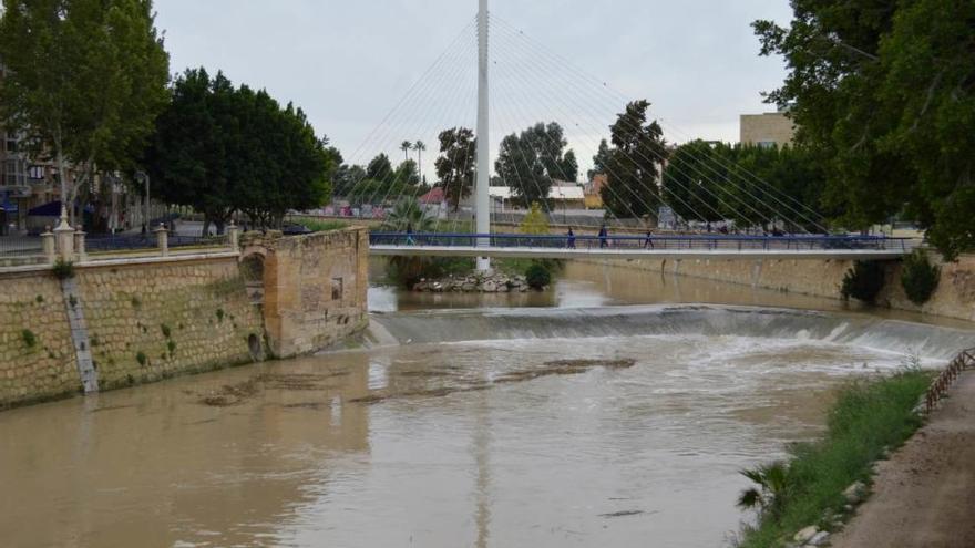 El río Segura a su paso por Murcia esta mañana