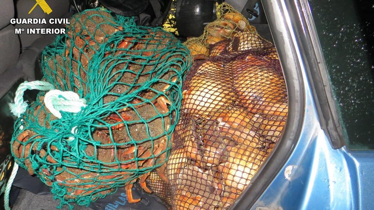 Una parte del marisco incautado