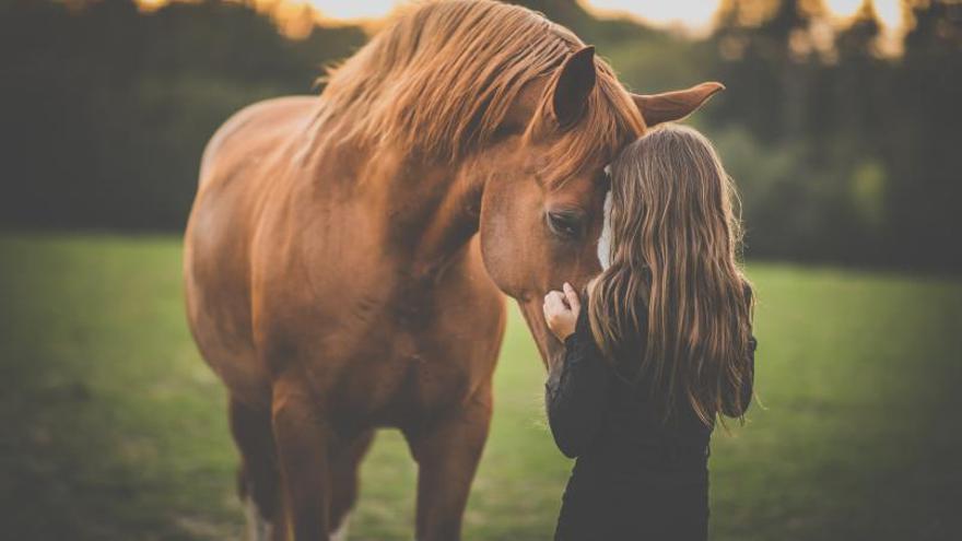 La relación con los caballos favorece la autoestima y la concentración. | FOTOS: SHUTTERSTOCK