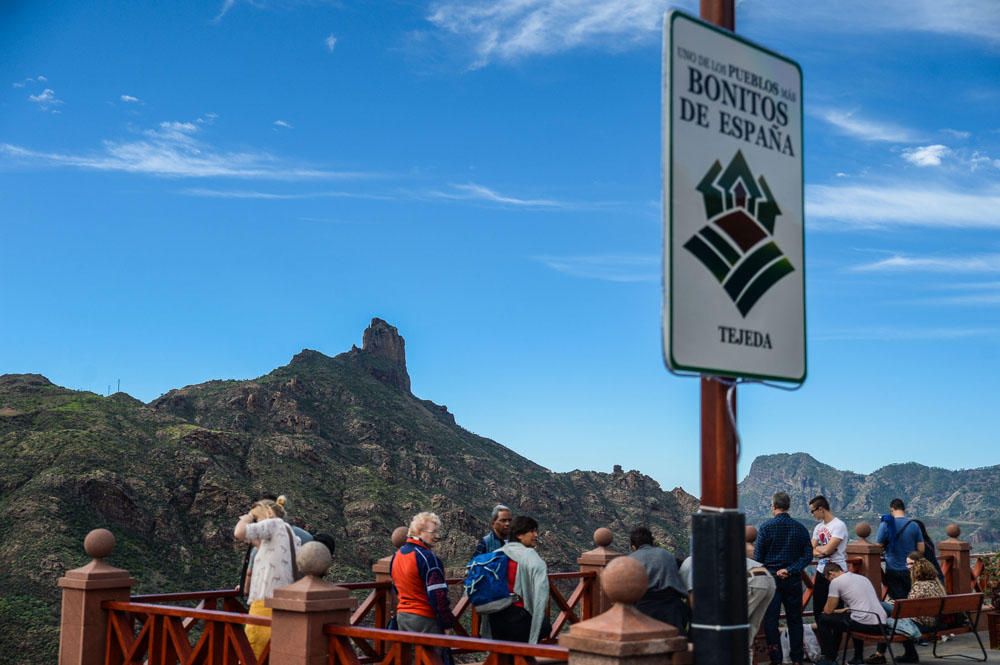 AMBIENTE TURISTAS EN TEJEDA