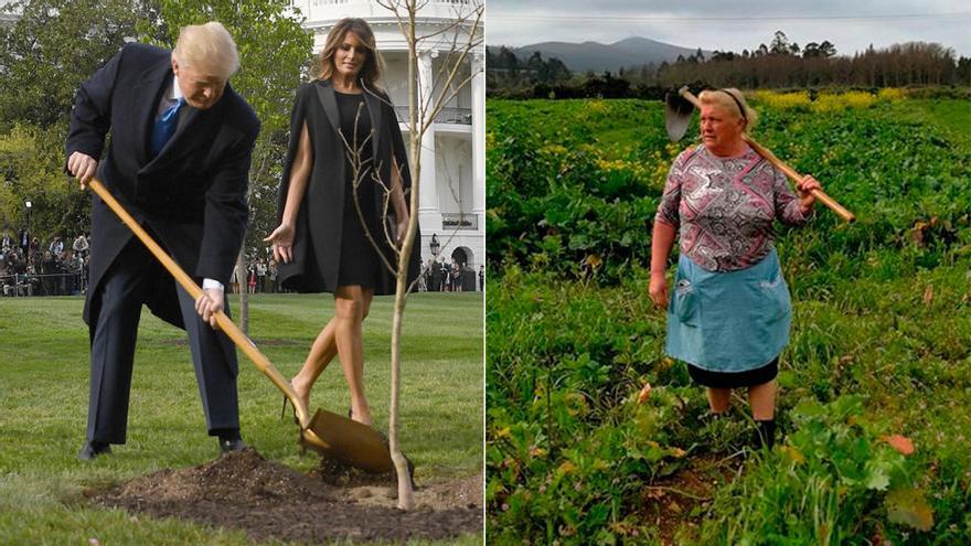 Donald Trump con una pala, Dolores Leis con su azada // FARO