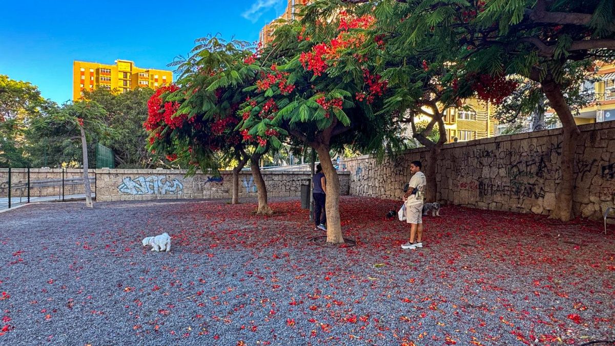 Nuevo espacio canino en el parque Don Quijote, en la capital.