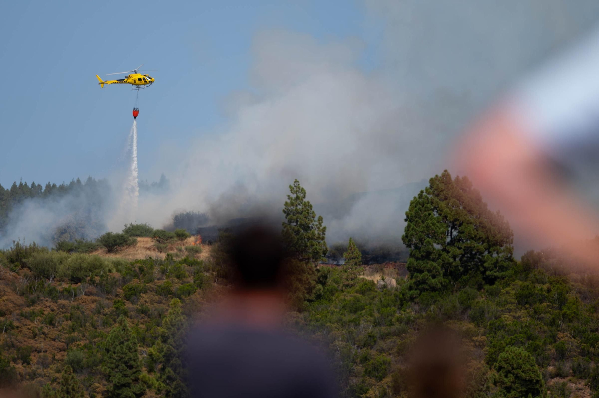 Imágenes del incendio declarado en El Tanque