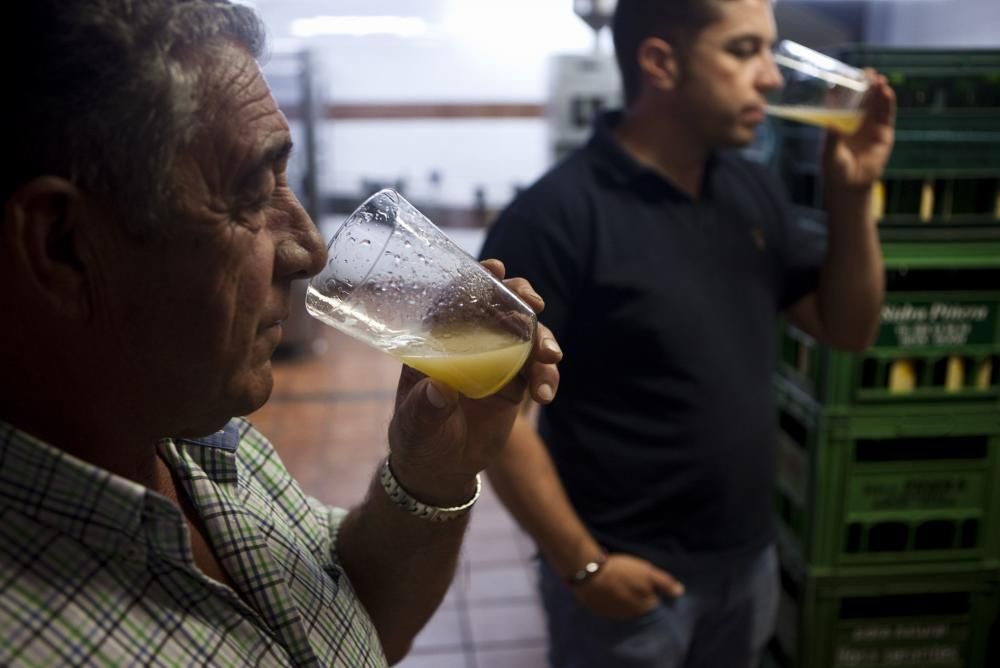 La mejor sidra de Asturias 2016 del Festival de Nava. Llagar Piñera, Deva