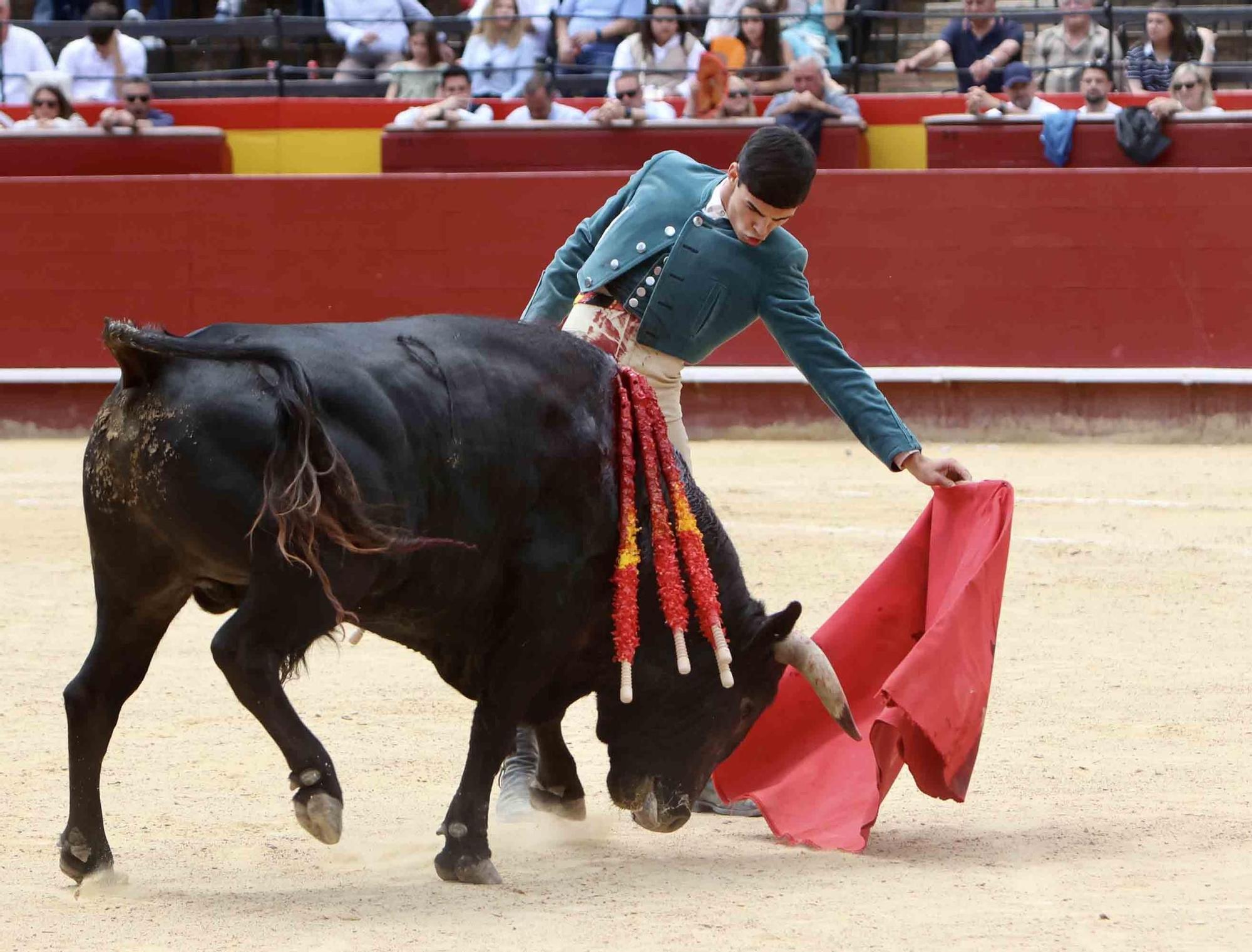 Valencia vive un fin de semana taurino alicantino