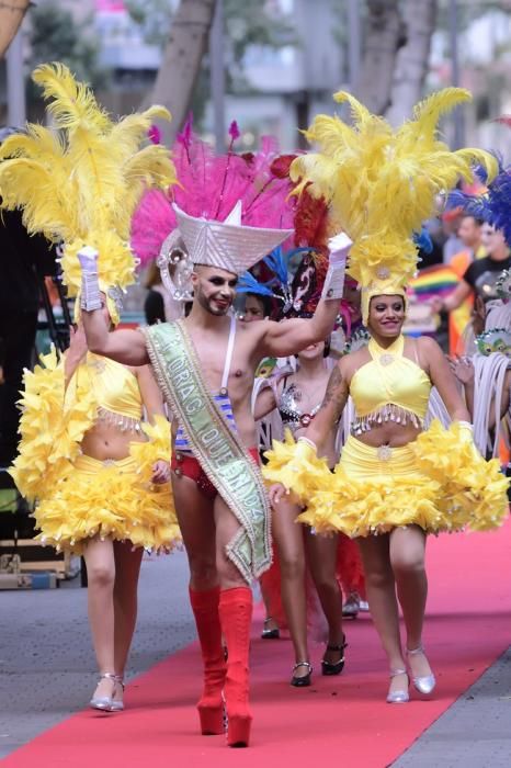 Carnaval de Las Palmas de Gran Canaria 2017: Cabaldrag