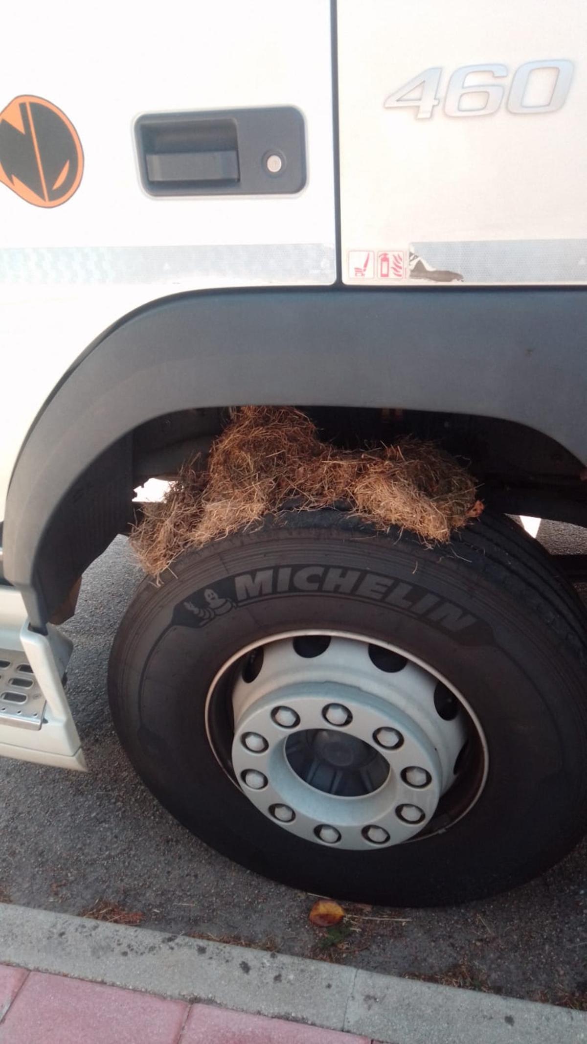 Paja sobre una rueda de un vehículo pesado pròximo al siniestro.