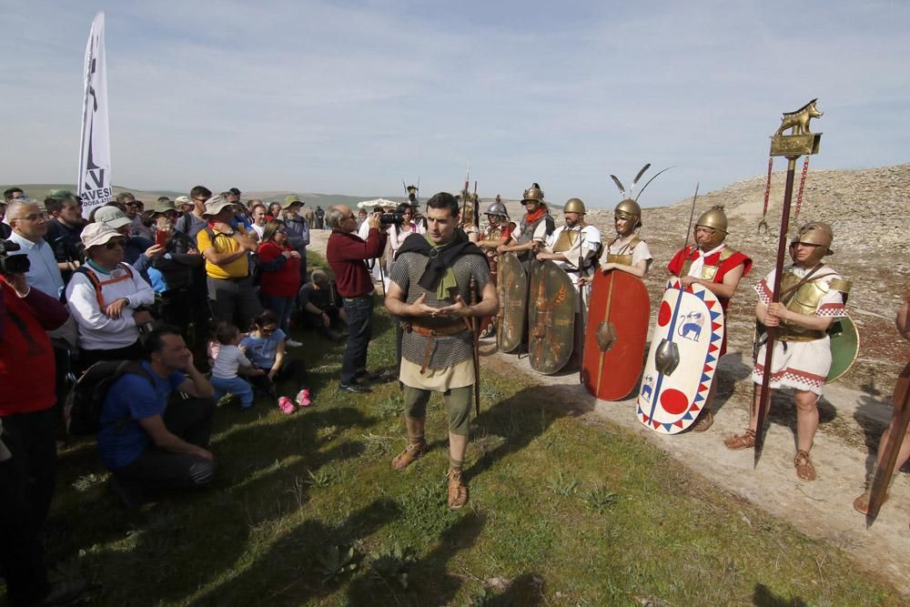 Las legiones romanas retornan a Ategua